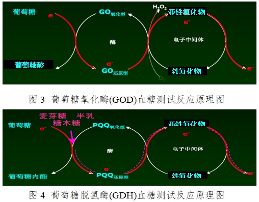 血糖儀注冊技術(shù)審查指導(dǎo)原則（2016年修訂版）（2016年第22號）(圖3)