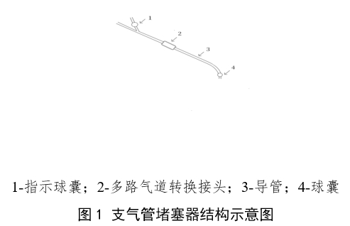 支氣管堵塞器注冊審查指導(dǎo)原則（2024年第19號）(圖1)