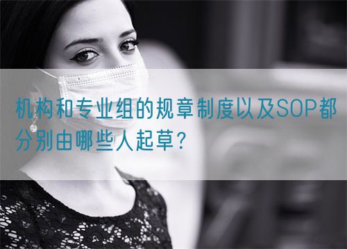 機(jī)構(gòu)和專(zhuān)業(yè)組的規(guī)章制度以及SOP都分別由哪些人起草？(圖1)