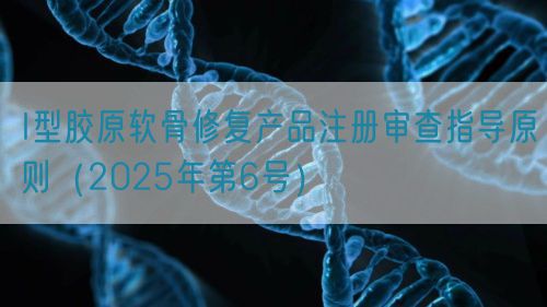 I型膠原軟骨修復(fù)產(chǎn)品注冊審查指導(dǎo)原則（2025年第6號(hào)）(圖1)