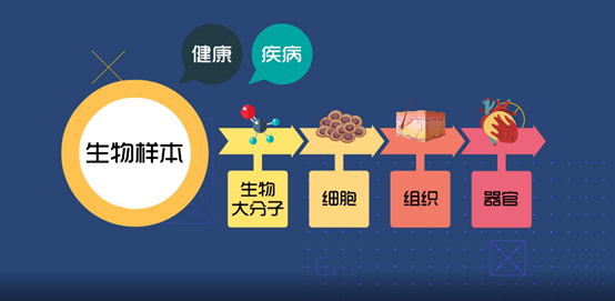 淺談CRC生物樣本管理！生物樣本采集、處理、存儲、運輸全過程注意事項